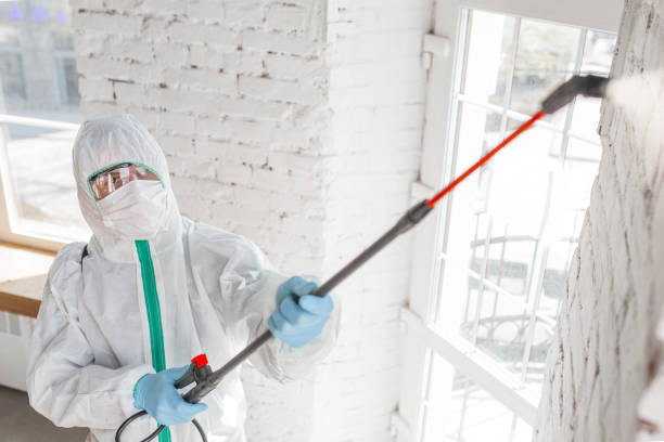 Biohazard Mold Removal in Cienegas Terrace, TX